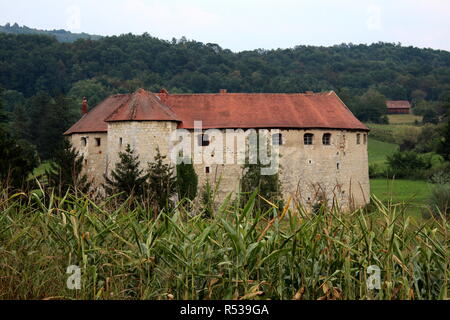 Città vecchia castello Ribnik utilizzato come difesa contro i nemici dal tredicesimo secolo circondata da una fitta foresta in background e cornfield davanti Foto Stock