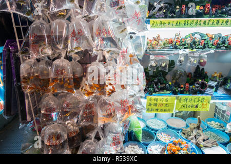 Negozio di vendita di piccoli pesci di acquario a Goldfish Market in Tung Choi Street, Hong Kong, Mong Kok, Kowloon Foto Stock