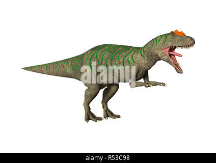 3D Rendering Allosaurus dinosauri su bianco Foto Stock