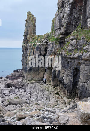 Stack di mare a San Govan, Pembrokehsire, Galles Foto Stock