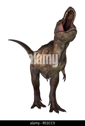 3D Rendering dinosauro Tirannosauro su bianco Foto Stock