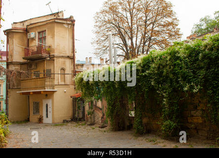 Il vecchio cortile affascinante con parete verde in Odessa, Ucraina. Foto Stock