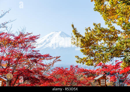 Monte Fuji e acero Foto Stock