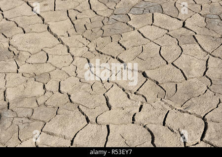 Grigio incrinato terreni disidratati Foto Stock