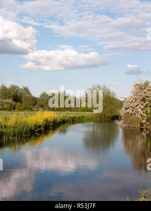 Un incredibile fiume che scorre attraverso il paese e il paesaggio al di fuori del paese con riflessi nel lago e un sacco di colore su un pomeriggio estivo in Essex REGNO UNITO Inghilterra e nessun popolo Foto Stock