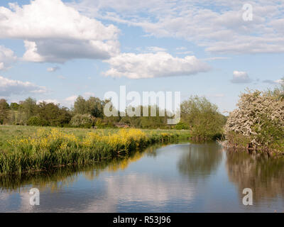 Un incredibile fiume che scorre attraverso il paese e il paesaggio al di fuori del paese con riflessi nel lago e un sacco di colore su un pomeriggio estivo in Essex REGNO UNITO Inghilterra e nessun popolo Foto Stock