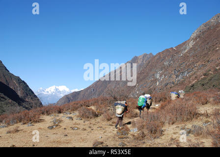 Facchini su un sentiero nella valle Tamur Nepal orientale Foto Stock