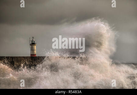 Newhaven, East Sussex, Regno Unito. 29th novembre 2018. Tempo del Regno Unito: Più vento di forza gale dal Sud Ovest frusta le onde sulla costa meridionale. Foto Stock