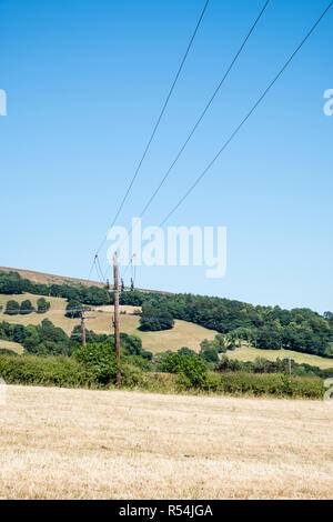 Le linee di alimentazione su legno poli di utilità che trasportano elettricità attraverso i campi in campagna, Derbyshire, Peak District, England, Regno Unito Foto Stock