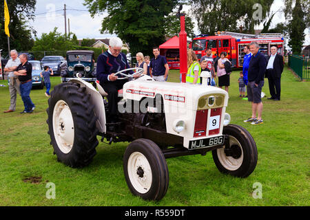 Vintage trattori David Brown a disputare mostrano Lincolnshire Foto Stock