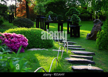 Via sassosa decorata con Bonsai nel giardino fiorito con permeare la luce solare Foto Stock