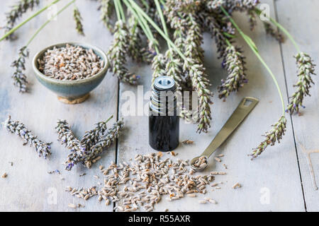 Olio essenziale di lavanda (Lavandula sp.). Foto Stock