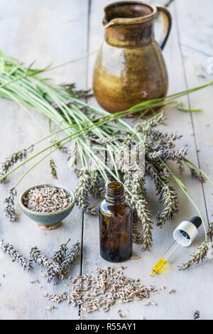 Olio essenziale di lavanda (Lavandula sp.). Foto Stock