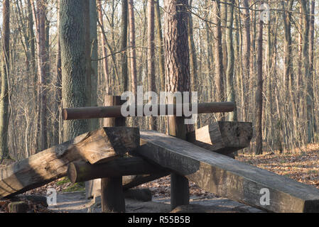 Parco giochi nella foresta sul giorno di sole Foto Stock