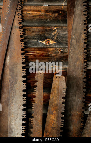 Un vecchio arrugginito sega a mano per legno con un blu manico di plastica, isolato  su sfondo bianco con un tracciato di ritaglio Foto stock - Alamy