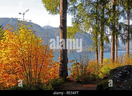Cushman Lake, il Parco Nazionale di Olympic, Washington Foto Stock