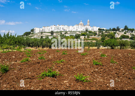 Vista panoramica di Locortondo, uno dei più belli e ben conservati Città in Puglia, Italia Foto Stock