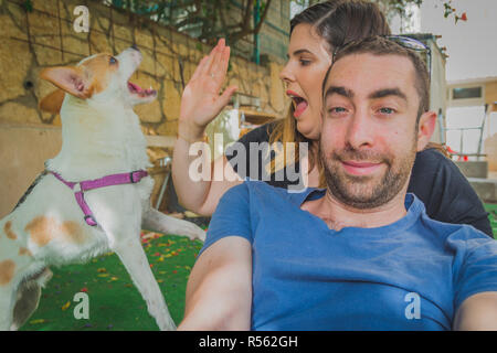 Giocoso e eccitato jack russell terrier cane sorpresa e interruzione di coppia giovane che sta cercando di essere fotografato Foto Stock