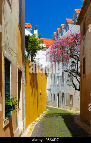 La molla tipica strada di Lisbona, Portogallo Foto Stock