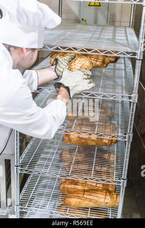 Lo chef maschio tenendo fuori il pane fresco con i guanti Foto Stock