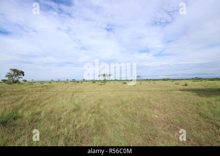 Landschaft Sawanne Ishasha im Nationalpark Uganda Ostafrika Foto Stock