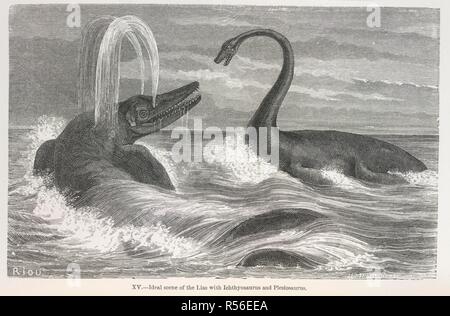 "Scena ideale del lias con Ichthyosaurus e Plesiosaurus'. Il mondo prima del diluvio contenente venticinque paesaggi ideali del mondo antico, progettato da Riou e duecento e otto figure di animali e piante [con testo illustrativo]. Londra, 1865. Fonte: 7108.cc.18, piastra XV, opposta 203. Lingua: Inglese. Autore: Figuier, Guillaume Louis. Foto Stock