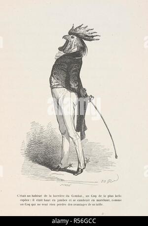 C'etait habitue onu de la barrière du combattere, Onu Coq de la plus belle espece, il etait haut en jambes et se cambrait en marchant, comme onu Coq qui ne veut rien perdre des avantages de sa taille. Immagine antropomorfica del pollo, indossando speroni e tenendo una spada o raccolto di equitazione. Peines de cÅ"ur d'une chatte anglaise.-guida-aÌ'ne aÌ€ l'usage des animaux qui veulent parvenir aux honneurs.-Voyage d'onu Lion d'Afrique aÌ€ PARIGI.-Les Amours de deux beÌ'tes. In: Stahl (P. J.) pseud. SceÌ€nes de la vie priveÌe des animaux ... EÌTudes de mÅ"urs contemporaines publieÌes sous la direction de M. P. J. Foto Stock