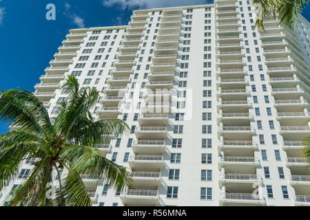 Condominio High-Rise a Miami in Florida con le palme in primo piano. Foto Stock