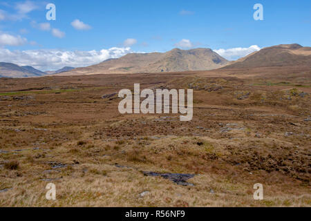 Contea di Galway Irlanda palude terra e erica con montagne in Connemara in una giornata di sole con cielo blu. Foto Stock