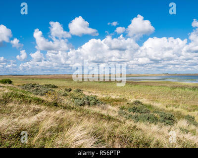 Panorama delle saline di Mokbaai, ingresso del mare di Wadden sulla West Frisone isola di Texel, Paesi Bassi Foto Stock