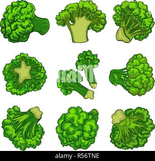 Broccoli icon set. Serie di cartoni animati di broccoli icone vettoriali per il web design Illustrazione Vettoriale