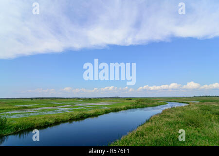 Vista sul fiume Biebrza vicino a Goniadz, Polonia. Foto Stock