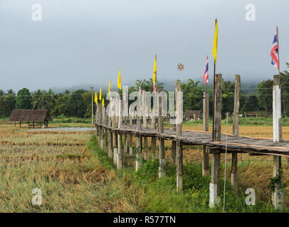 Il vecchio ponte di bambù pass campo di riso in vista la mattina Foto Stock