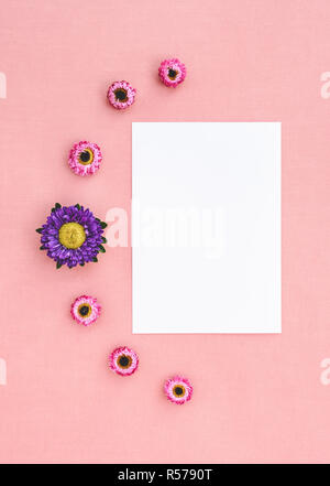Fiori e foglio di carta bianco con copia spazio su tela rosa. Strawflowers e aster. Foto Stock