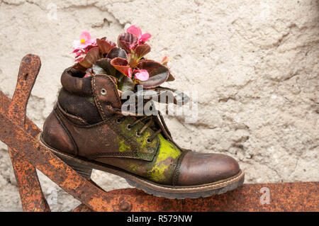 Vecchia scarpa strappati utilizzati nella progettazione dei giardini, fiori in boot Foto Stock