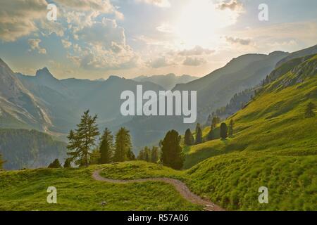 Alpine Falre al tramonto Foto Stock