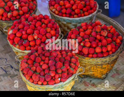 Fragole nel cestello di bambù per la vendita al mercato di Yangon, Myanmar. Foto Stock