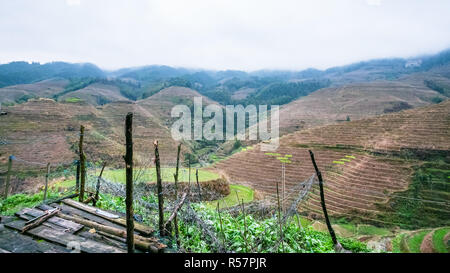 Visualizzazione di campi sulle colline da di Tiantouzhai Foto Stock