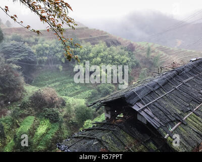 Vista della tettoia umido e campi terrazzati da Tiantou Foto Stock