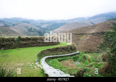 Giardini terrazzati del villaggio Tiantouzhai Foto Stock