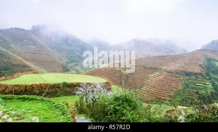 Al di sopra di vista dei giardini terrazzati sulle colline Foto Stock