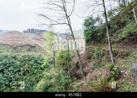 Vista delle case sulle colline terrazzate di Dazhai Foto Stock