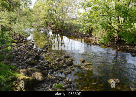 Il panoramico viale alberato in riva al fiume Wharfe, vicino Starbotton, lungo le valli modo sentiero escursionistico, nello Yorkshire, nell'Inghilterra del Nord, Regno Unito. Foto Stock