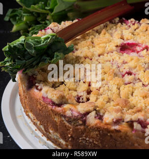 Rabarbaro crumble Foto Stock