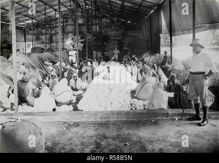 Industria di sgranatura: Femmina operai a lavorare nella fabbrica di sgranatura (m/s P.S. Sparling & Co, 9 Clive Row) [Calcutta]. Vista delle donne seduto accanto a cumuli di cotone di separare la granella dalla fibra, guardato da personale europeo. Femmina di operai a lavorare nella fabbrica di sgranatura. India, 1926. Fonte: Photo 703/(22). Autore: Bourne & Pastore. Foto Stock