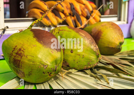 3 verde fresco noci di cocco mature pronte per essere incrinato aperto per l'acqua di cocco in un cibo di strada di stallo del fornitore in Bahamas con le banane in background Foto Stock