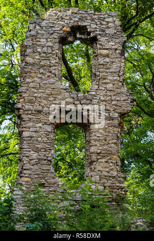 Brurgruine stecklenburg harz Foto Stock