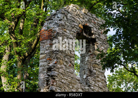 Brurgruine stecklenburg harz Foto Stock