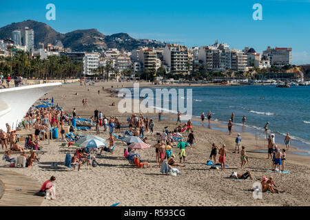 Benidorm, Costa Blanca, Spagna, 29 novembre 2018. Lucertole da mare e nuotatori godetevi il sole sulla spiaggia di Poniente. Media delle temperature oltre i 17 gradi Celsius attraverso i mesi invernali rendono la Costa Blanca una destinazione ideale per il freddo e umido inglesi. Pensionati e anziani può essere visto qui esercita la musica sulla spiaggia. Credito: Mick Flynn/Alamy Live News Foto Stock