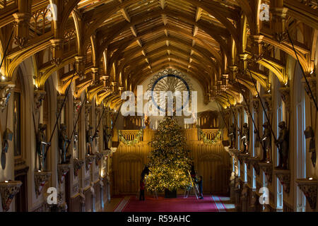 Windsor, Regno Unito. 30 Novembre, 2018. Gli Appartamenti di Stato al Castello di Windsor sono state decorate con scintillanti alberi di Natale e scintillanti luci di Natale. Visto qui in St George's Hall un sorprendente 20ft Nordmann abete dal Windsor Great Park vestito d'oro. Un 15ft albero di Natale viene visualizzato anche nell'Crimson Drawing Room. Credito: Mark Kerrison/Alamy Live News Foto Stock